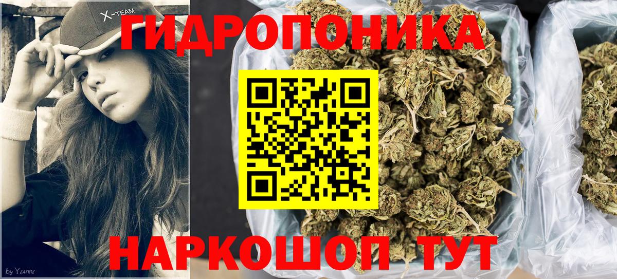 Канабис план  Каннабис White Widow  Шишки марихуана OG Kush  Камышин  Вход с VPN 